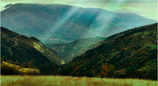 Guía de senderismo y cultural para grupos en andalucia